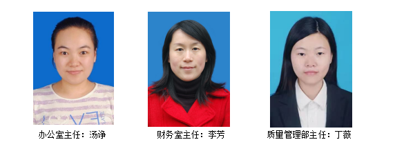 IE������е��ͼƬ��ȫ����ʾ